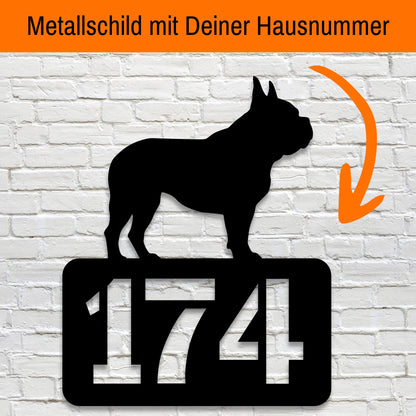 Französische Bulldogge - individuelles Hausnummernschild