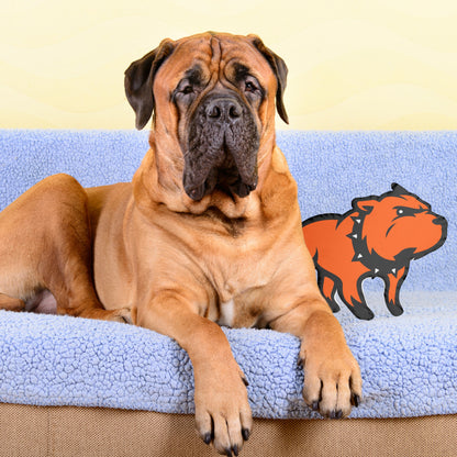 Kissen für Kampfkuschler - Cute Outlaw Maskottchen