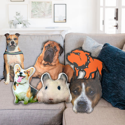 Kissen für Kampfkuschler - Cute Outlaw Maskottchen